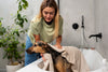 Why Regular Pet Grooming Is Essential for Your Pet's Health
