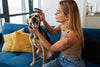 Happy Pets Begin with Healthy Skin
