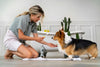 The Secret to a Healthy, Shiny Coat for Your Pet