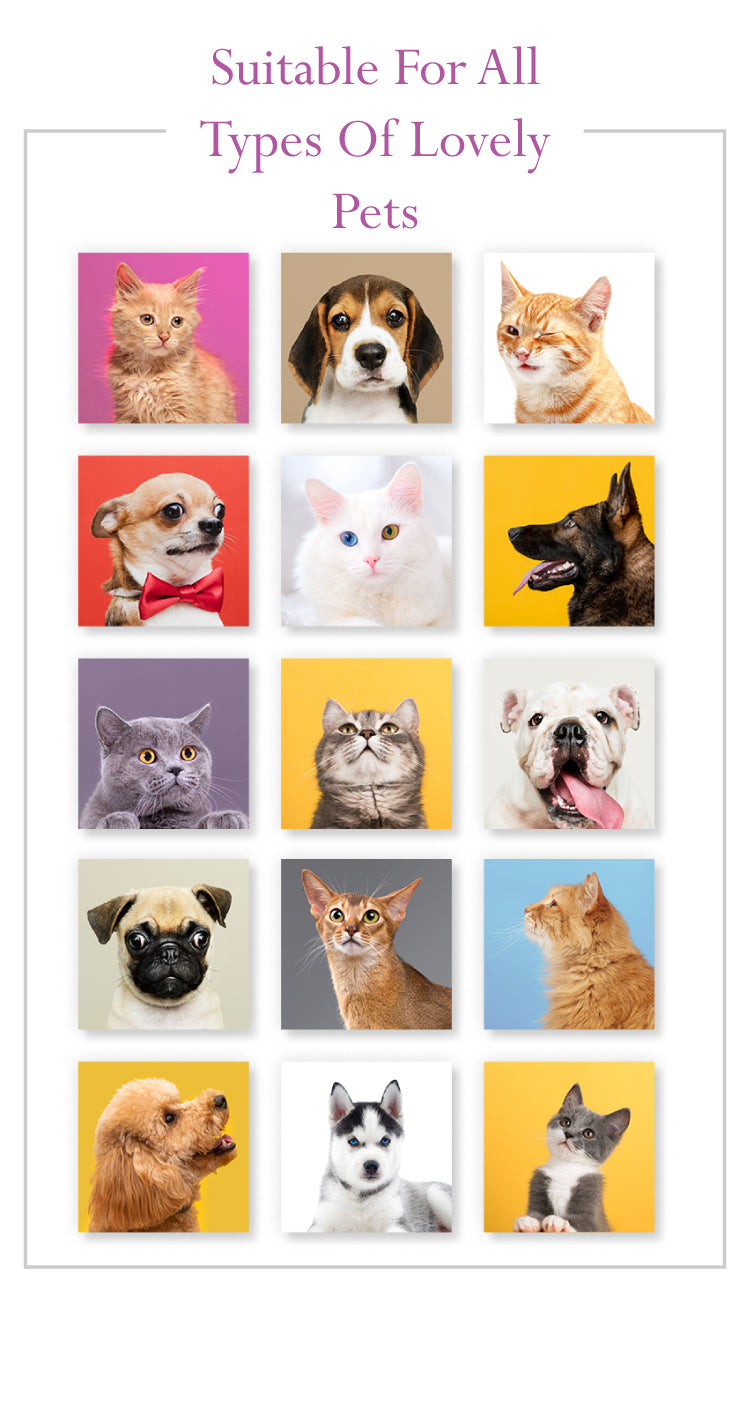 2-in-1 Pet Shampoo & Conditioner