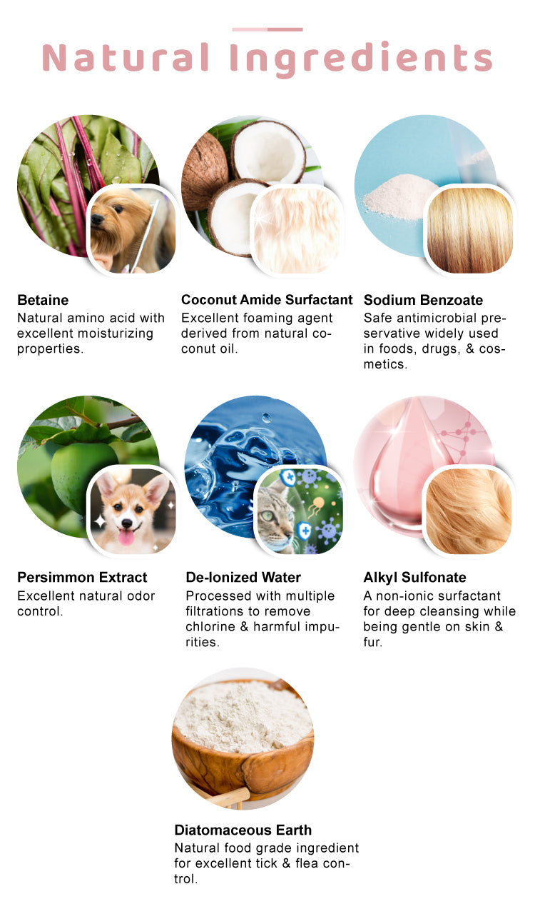 Anti Tick & Flea Shampoo