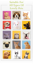 500ML Deodorizing Pet Shampoo