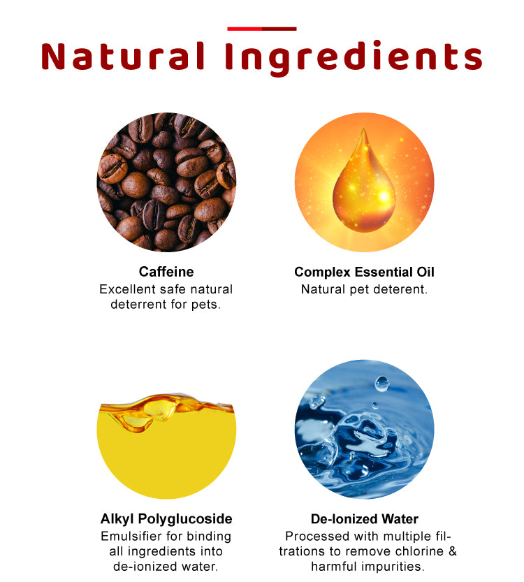 Natural Anti Chew Bitter Spray