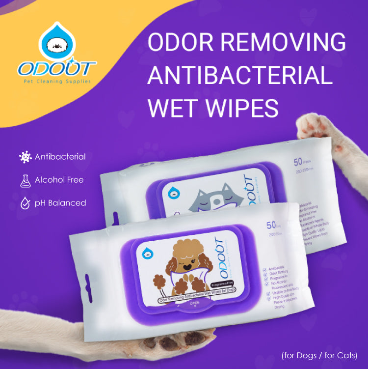 Pet Wet Wipes