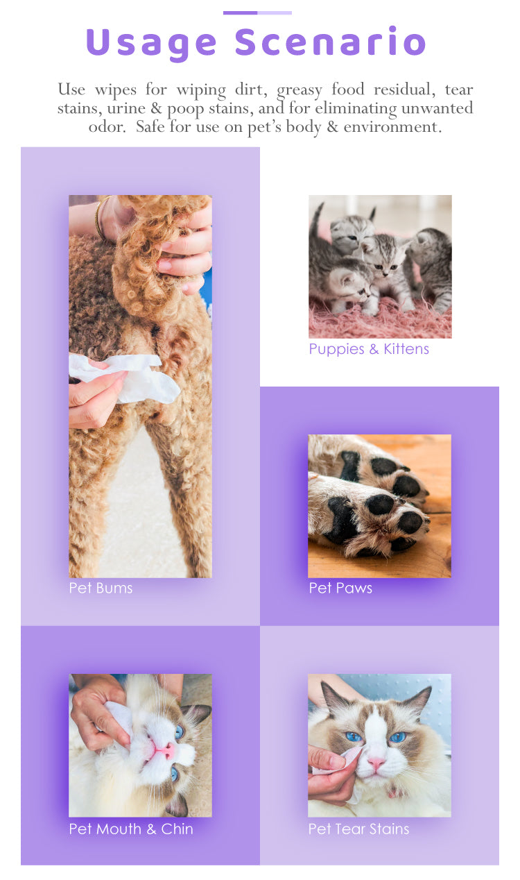 Pet Wet Wipes