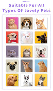 Pet Wet Wipes