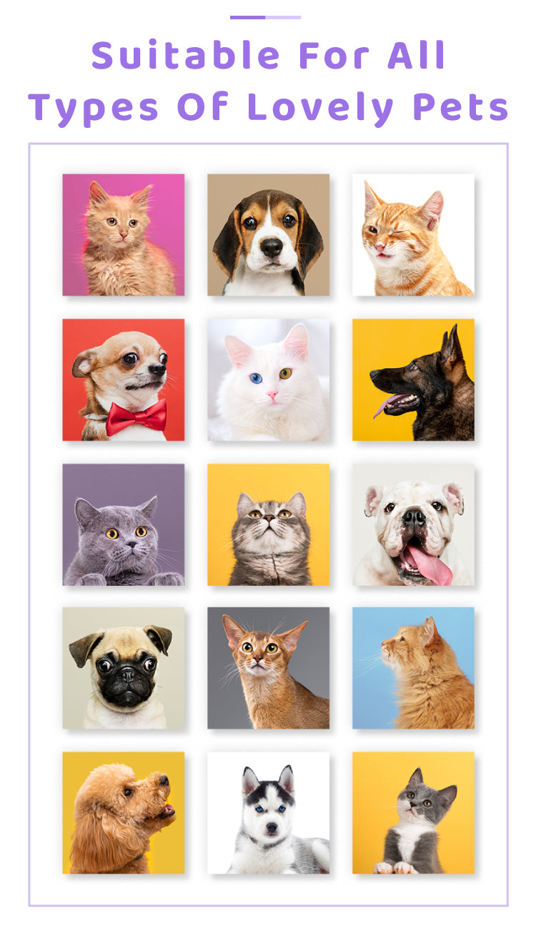 Pet Wet Wipes