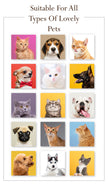 Pet Cologne Perfume