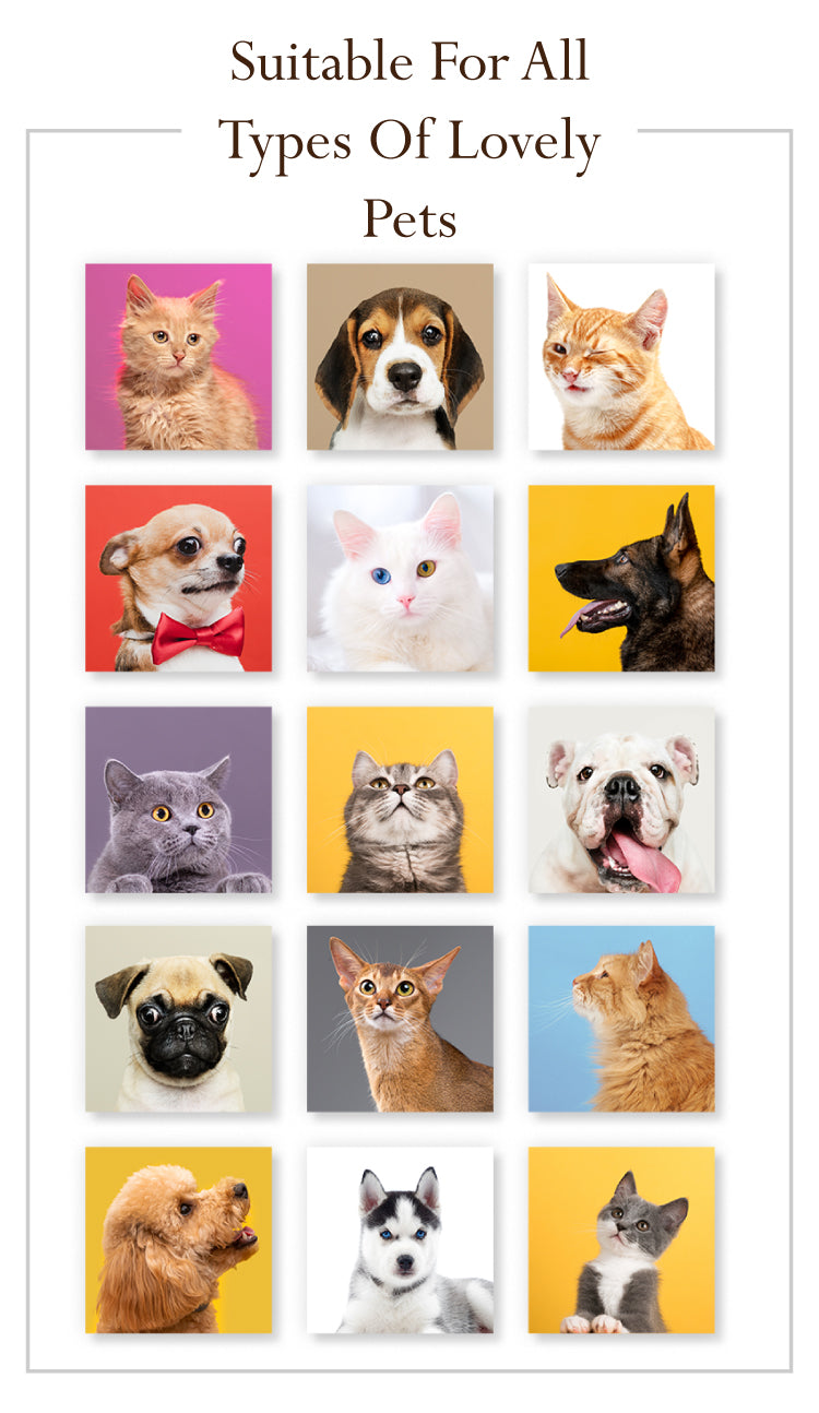 Pet Cologne Perfume