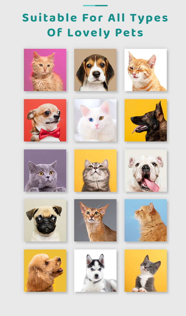 Pet Ear Cleansing Solution