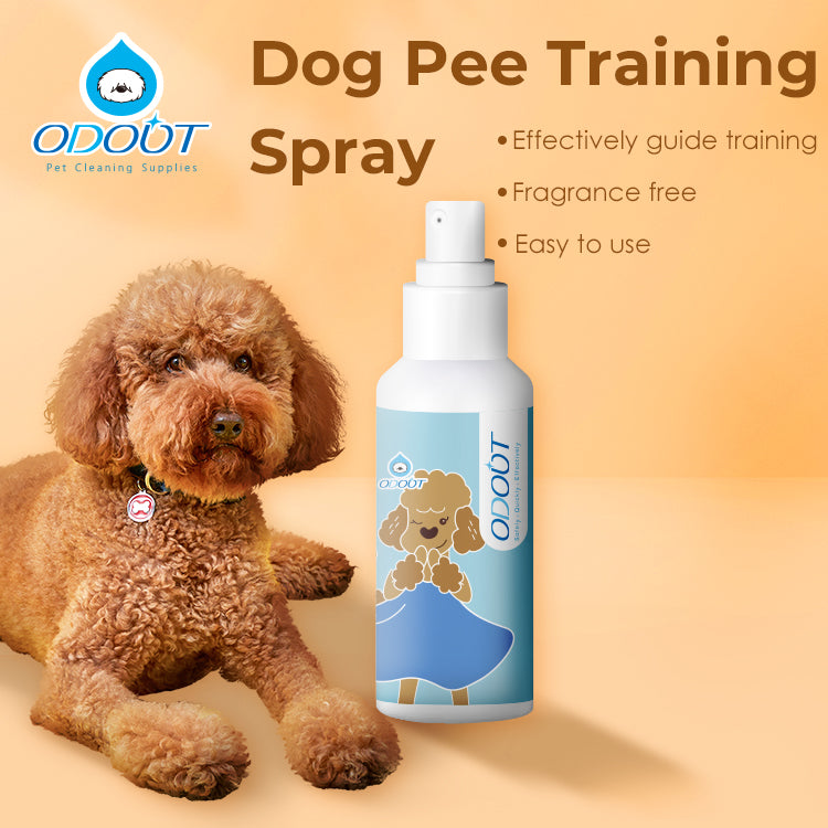 Pet Potty Training Spray