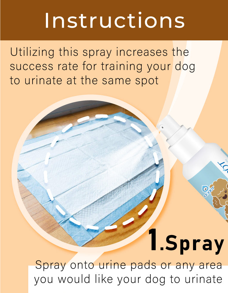 Pet Potty Training Spray