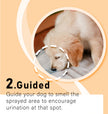 Pet Potty Training Spray