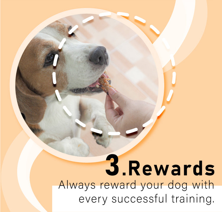 Pet Potty Training Spray