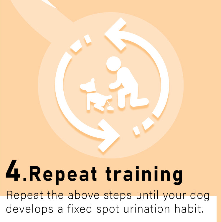 Pet Potty Training Spray