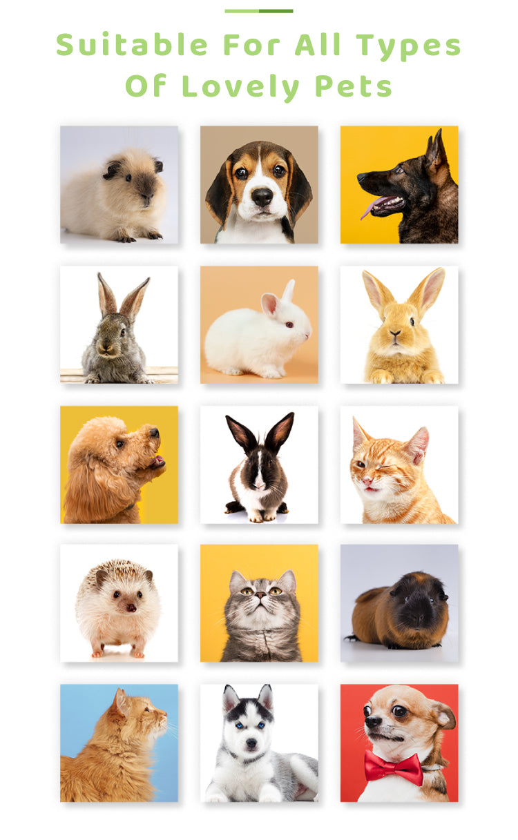 Tearless Pet Shampoo
